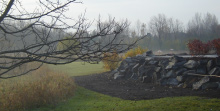 FRAMING A NATURE PRESERVE, LONG GROVE, IL RESIDENCE