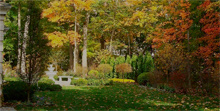 A FRENCH GARDEN IN THE WOODS